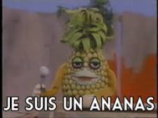telefrancais je suis un ananas